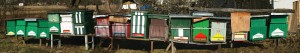 Slovak hives Slovak hives