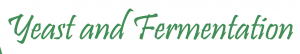 Fermentation